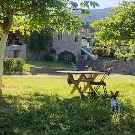 Venus * Agios Vlasios (Evia)