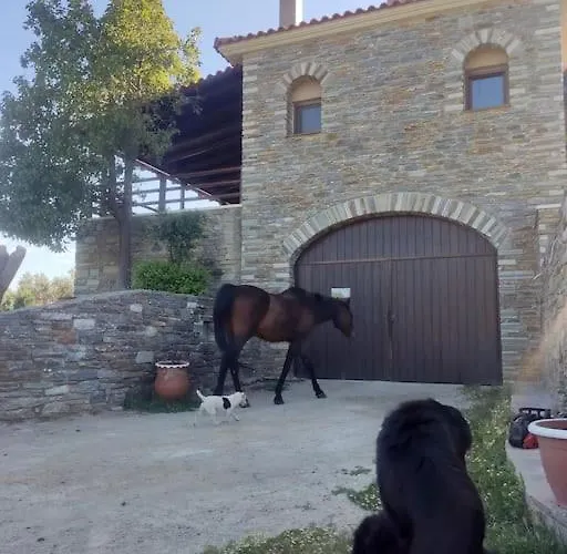 Venus Apartman Agios Vlasios (Euboea)